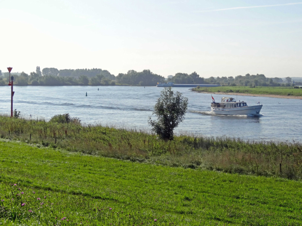 Ein Boot, das einen von Grünflächen, Pflanzen und Blumen gesäumten Fluss entlangfährt, mit Bäumen und einem klaren blauen Himmel im Hintergrund.