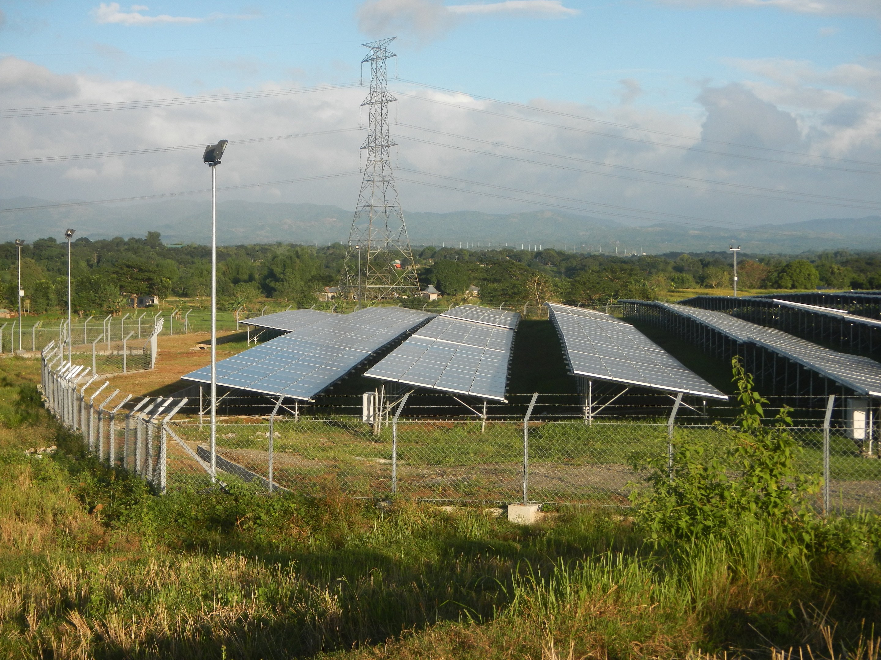 Ein Solarpanelfeld, das von einem Zaun umgeben ist, mit Gras, Pflanzen und Bäumen im Vordergrund, vor einem wolkenverhangenen Himmel und einem Übertragungsmast mit Drähten im Hintergrund.