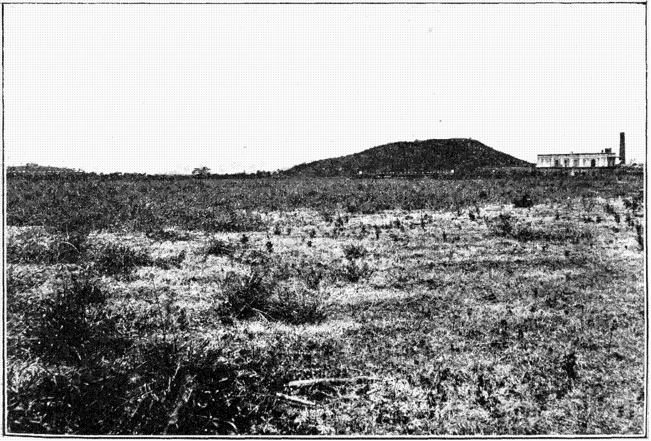 Schwarz-weiß-Foto eines Feldes mit einem Hügel im Hintergrund, einem Gebäude auf der rechten Seite und einem Himmel oben, mit dem Text 'New York State Penitentiary' unten.