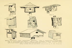 Eine detaillierte Zeichnung verschiedener einzigartig geformter und gestalteter Vogelhäuser und Nistkästen auf Papier, begleitet von beschreibendem Text über ihre Größe, Form und Merkmale.