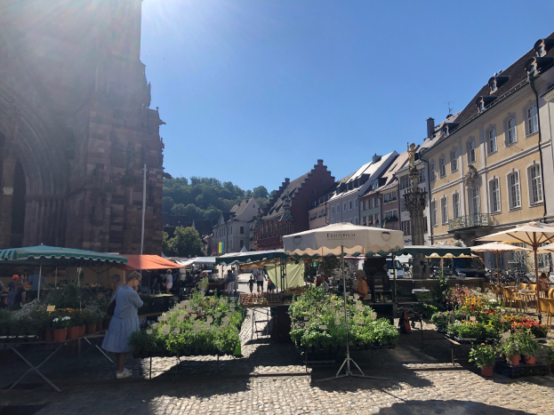 Ein lebendiger Markt in Heidelbergs altem Stadtkern mit Menschen, die durch die Gassen schlendern, an Tischen mit Blumentöpfen und Sonnenschirmen sitzen oder stehen, vor einem Hintergrund aus Gebäuden, Bäumen und einem klaren blauen Himmel.