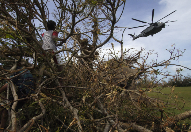 Ein Hubschrauber mit einem darauf liegenden Baum, zwei Personen in der Nähe, grasbewachsenem Boden, einigen Bäumen im Hintergrund und Wolken am Himmel.