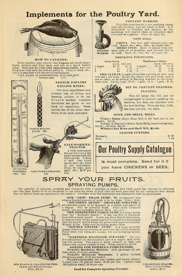 Alte Werbung für einen Hühnerhof mit Text und buntfarbigen Bildern von Hühnerprodukten, die Zutaten, Preise und Anwendungsanweisungen in fetter Schrift detailieren.
