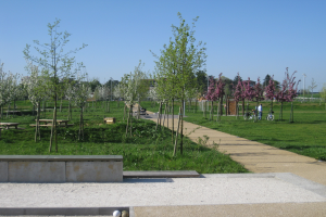 Ein Park mit einem gewundenen Pfad, der von Bäumen und Bänken gesäumt ist, Menschen, die Fahrräder fahren, Gebäude im Hintergrund und ein klarer blauer Himmel über saftig grünem Gras.
