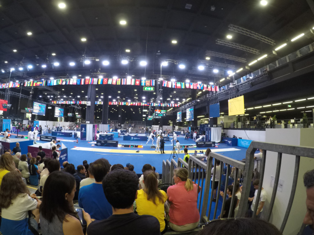 Eine große Menschenmenge, die vor einer Bühne sitzt und steht, mit einem Geländer auf der rechten Seite, Bildschirmen, Flaggen und Lichtern im Hintergrund bei den Europameisterschaften 2018.