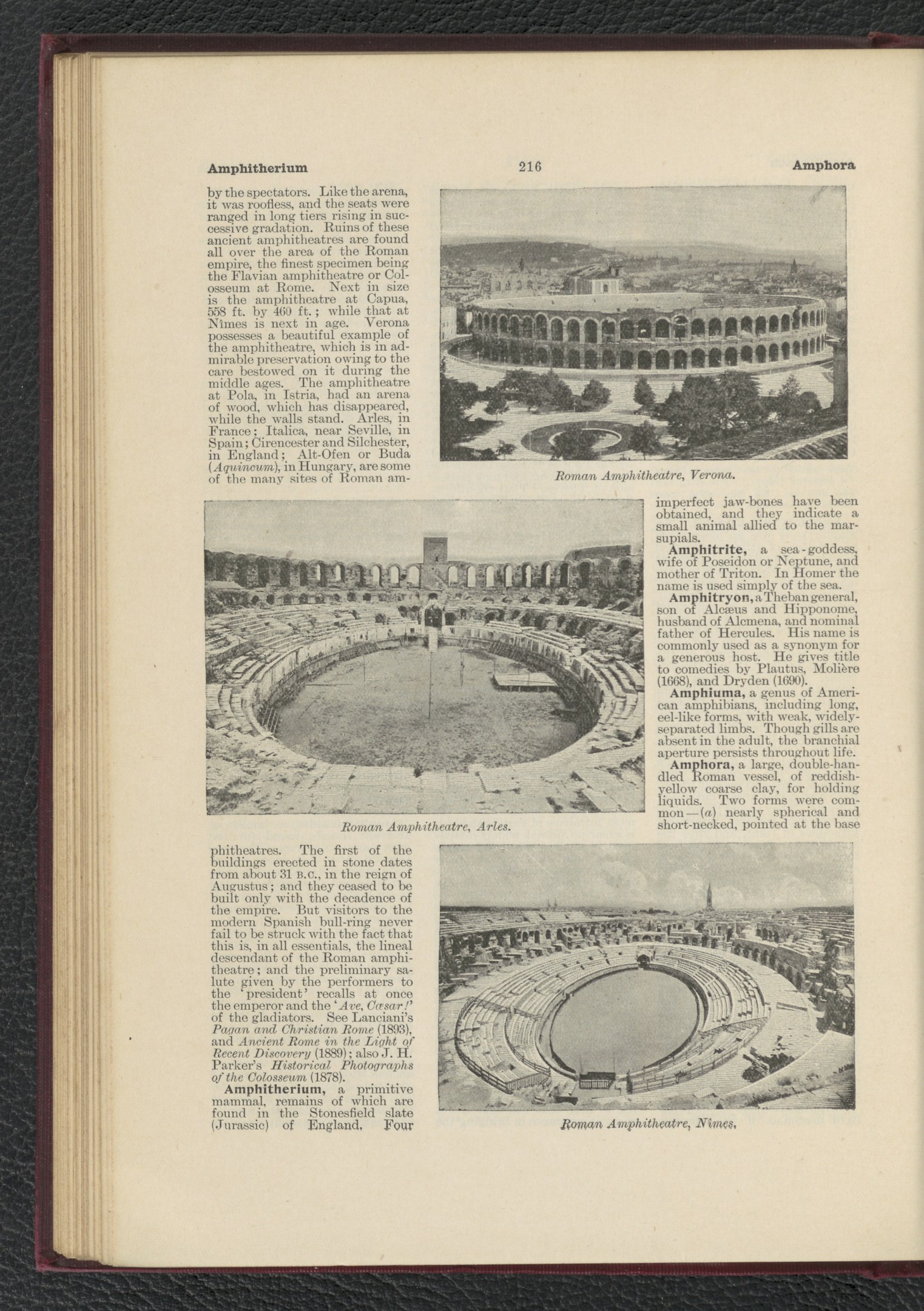 Offenes Buch mit Stadionbild und Text sowie anderen Bildern.