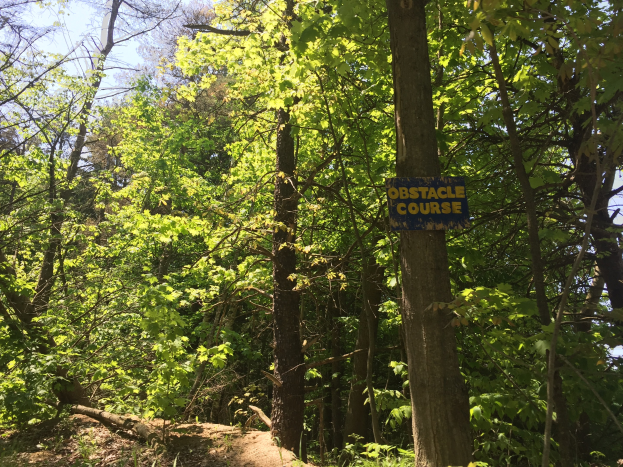 Ein Schotterweg in einem bewaldeten Gebiet, der von einem Schild mit der Aufschrift "Hindernisparcours" markiert ist und von Bäumen gesäumt wird.