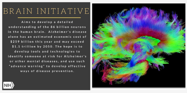 Plakat mit einer bunten Illustration eines Gehirns auf der rechten Seite und Text auf der linken Seite, der das Ziel der Initiative Brain Initiative beschreibt, ein detailliertes Verständnis der 86 Milliarden Neuronen im menschlichen Gehirn zu entwickeln.