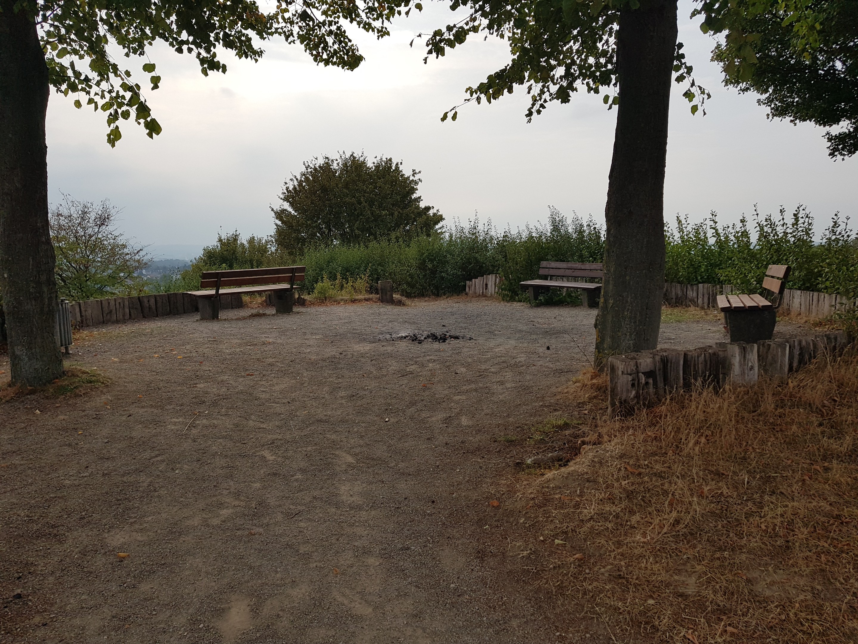 Ein Park mit einem zentralen Feuerplatz, umgeben von Bänken, Bäumen, Pflanzen und einem Zaun, auf trockenem Gras mit einem sichtbaren Himmel im Hintergrund.