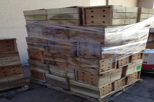 HPE stellt Hilfestellung zur Umsetzung von PPWR für Holzverpackungsunternehmen vor